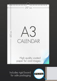 Back To Front Sexy women 2026 Erotica Calendar